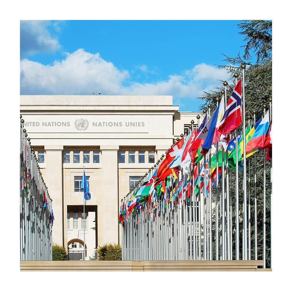 United Nations outdoor flag set for 193 members of the U.N.