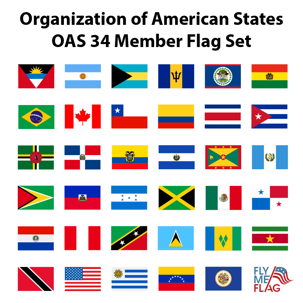 Organization of American States OAS 34 Member Flag Set for Outdoor Use