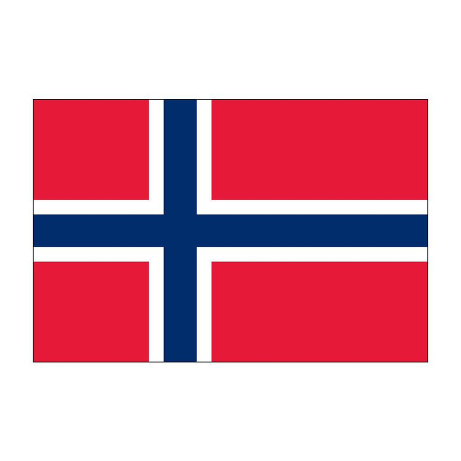 Buy outdoor Norway flags
