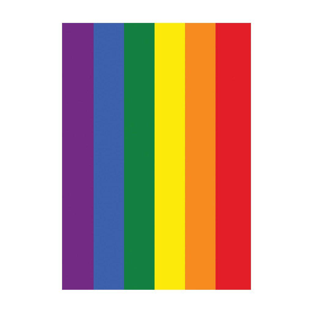 Rainbow Pride House Banner