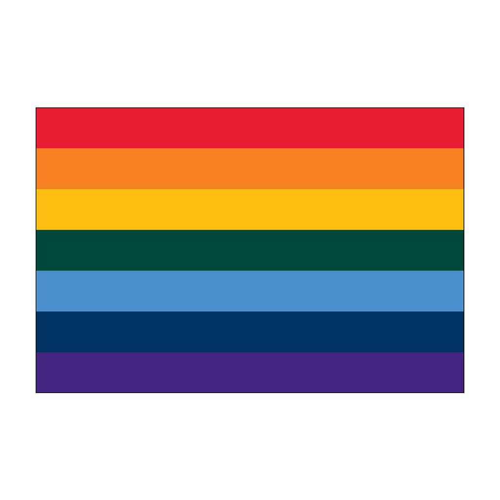 LGBT Pride Flag – Queer In The World: The Shop