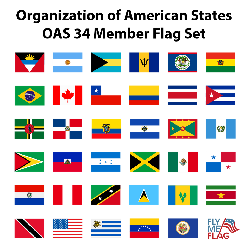 Organization of American States OAS 34 Member Flag Set for Outdoor Use