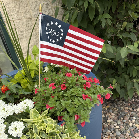 America 250 Betsy Ross Stick Flags in planters