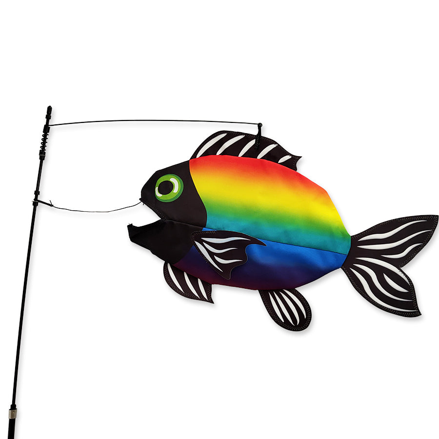 Bright Rainbow Swimming Fish
