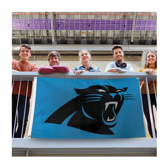 Deluxe 3' x 5' Flag - Carolina Panthers Logo Blue Flag-Flag-Fly Me Flag
