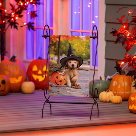 Goldens With Broom Garden Flag-Garden Flag-Fly Me Flag