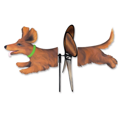 Petite Dachshund Spinner Features a Longhaired Dachshund with a Green Collar 
