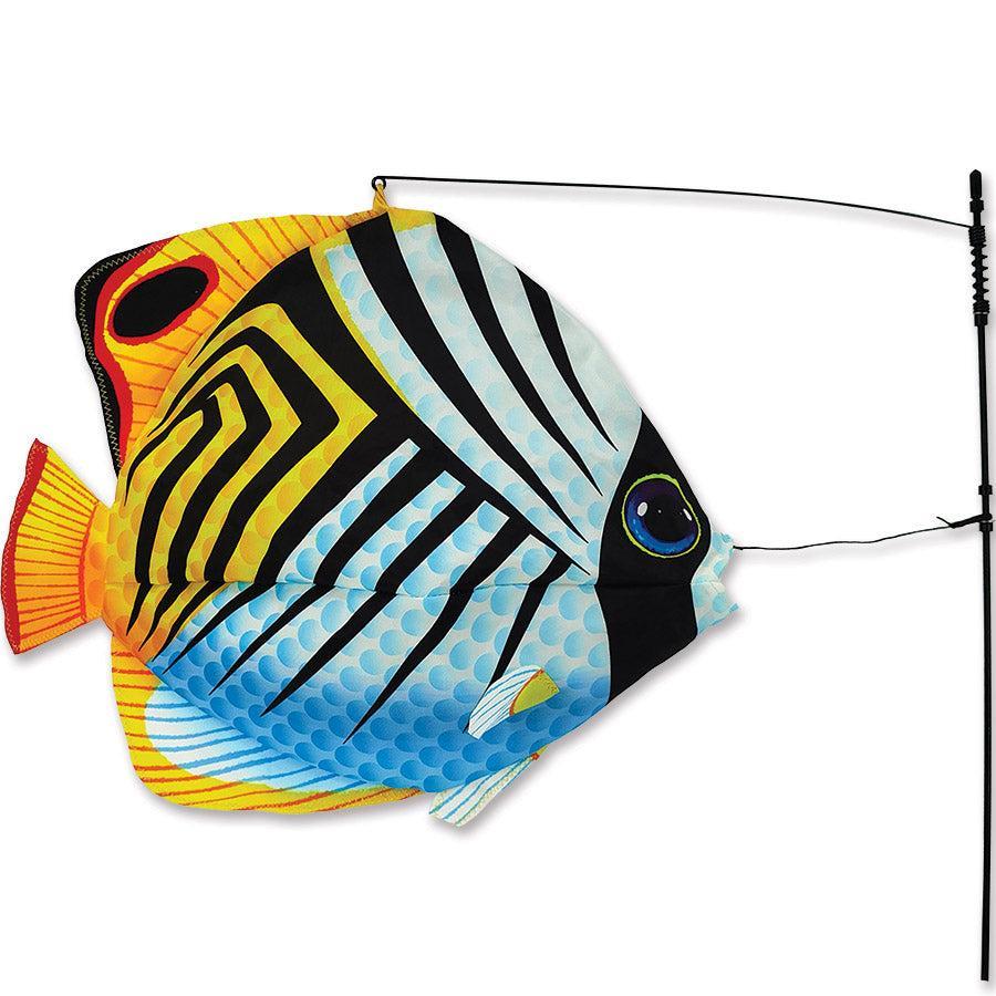 Thread_Fin_Swimming_Fish