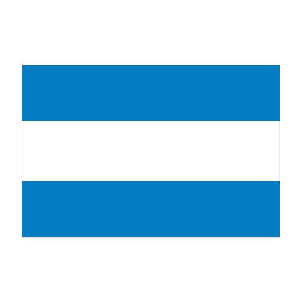 Argentina Flags (No Seal)