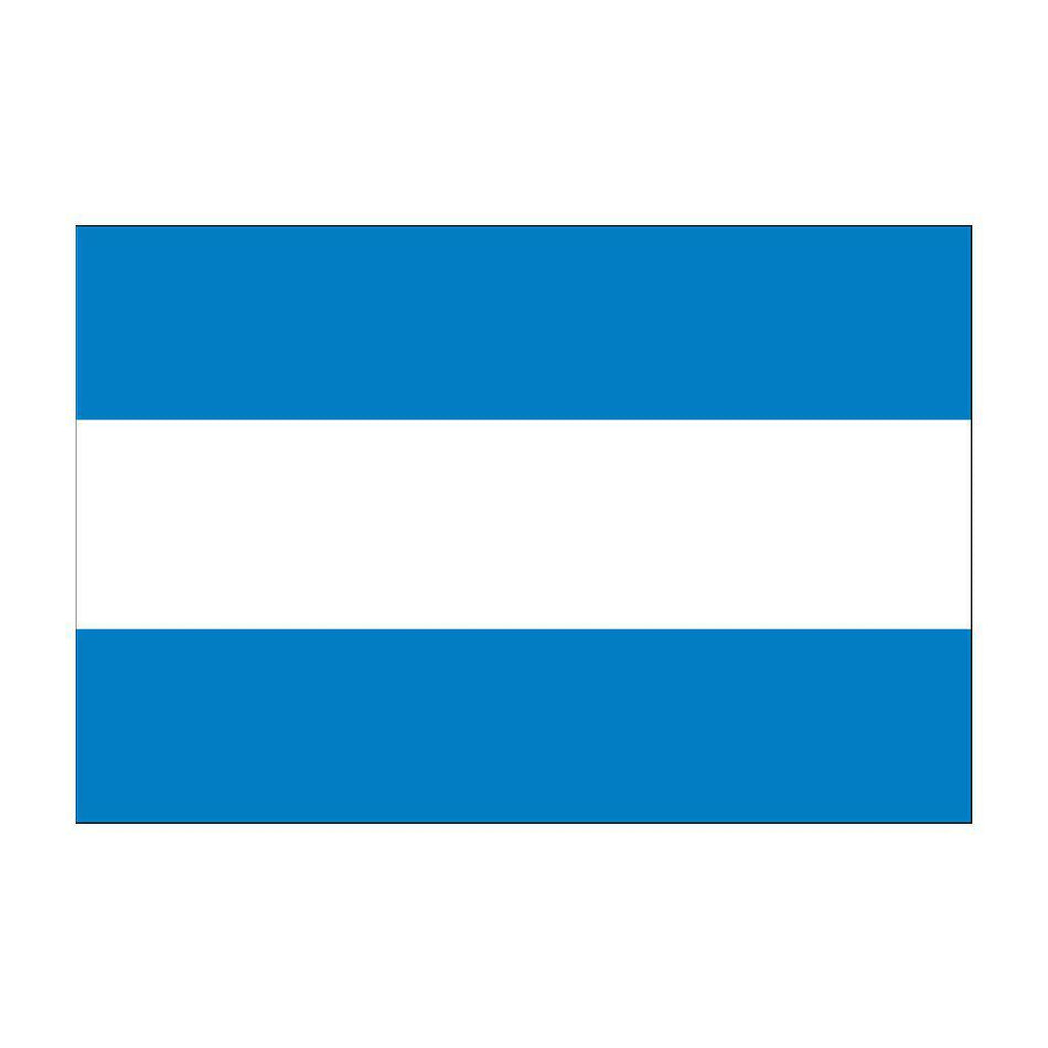 Argentina Flags (No Seal)