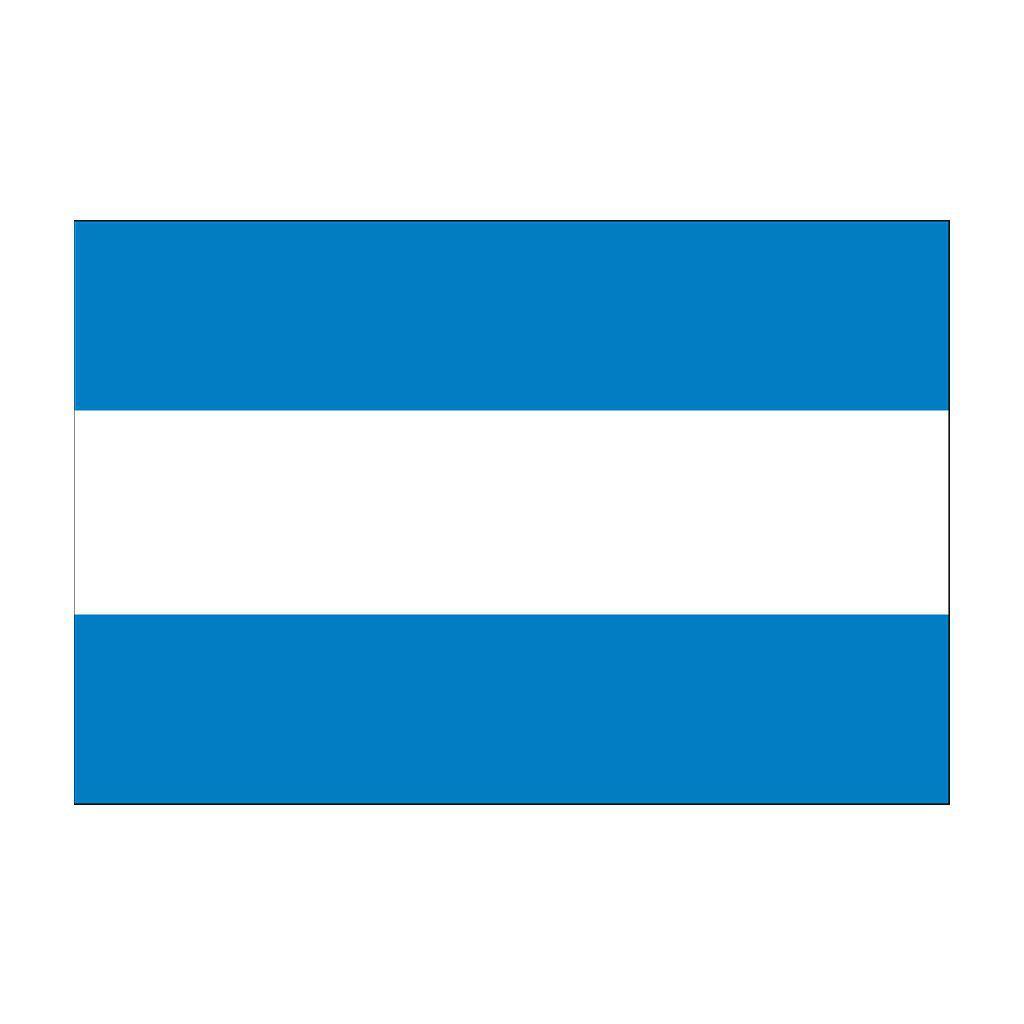 Argentina Flags (No Seal)