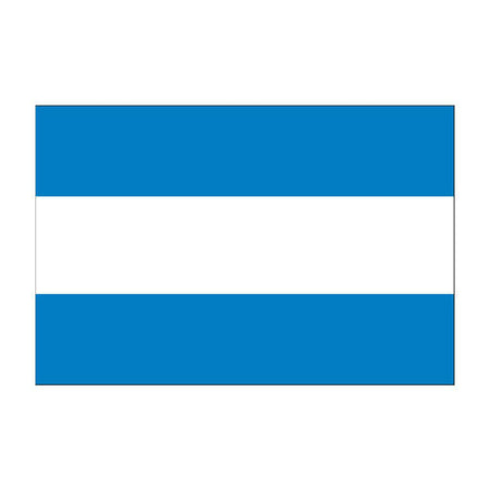 Argentina Flags (No Seal)
