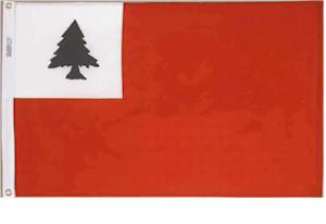 Continental pine tree outdoors Flags