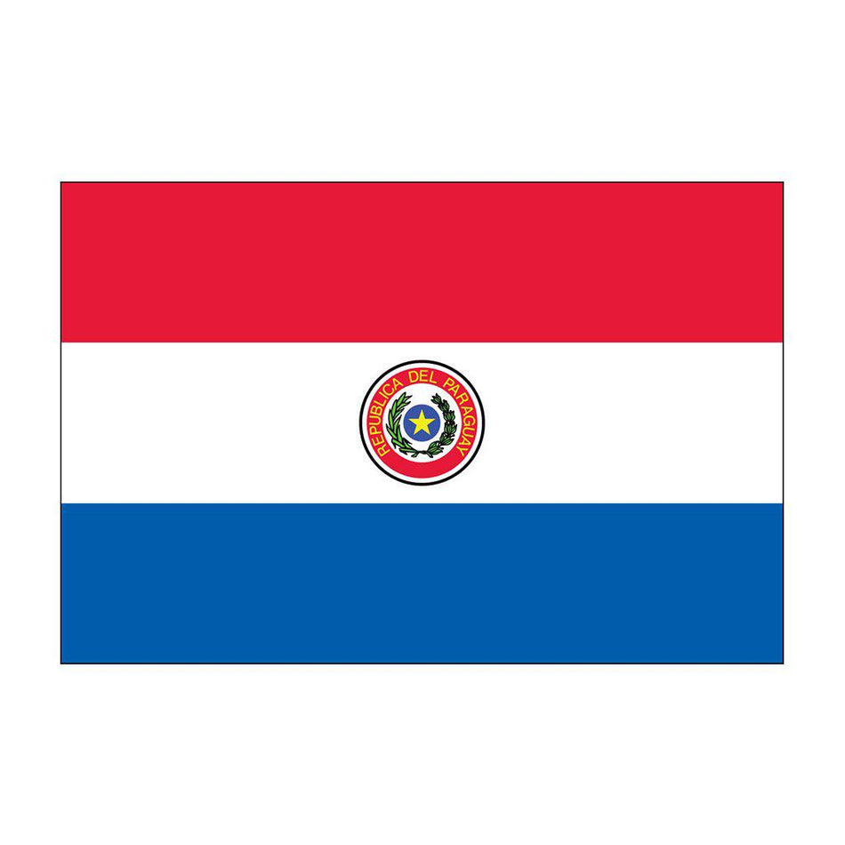 Buy outdoor Paraguay flags