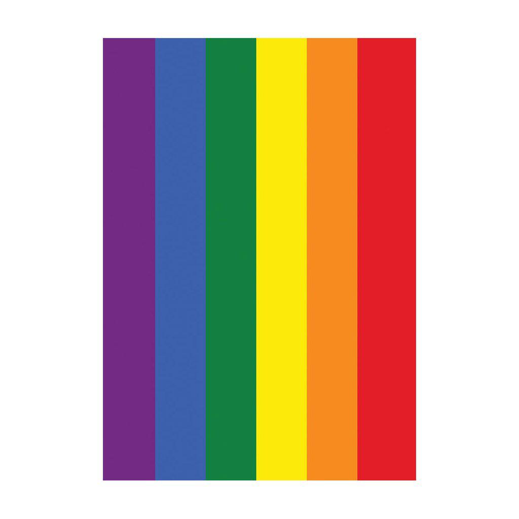 Rainbow Pride House Banner