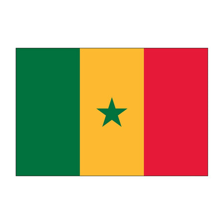 Buy outdoor Senegal flags