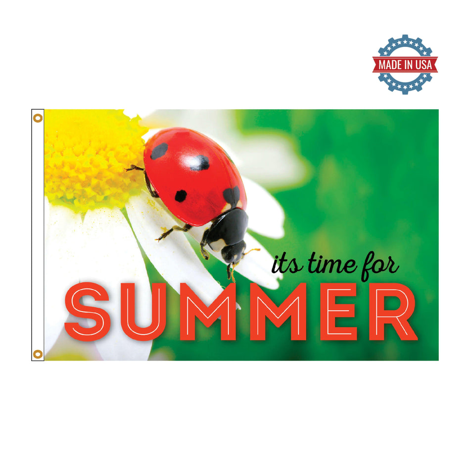 It's Time for Summer Ladybug 3x5 boutique flag